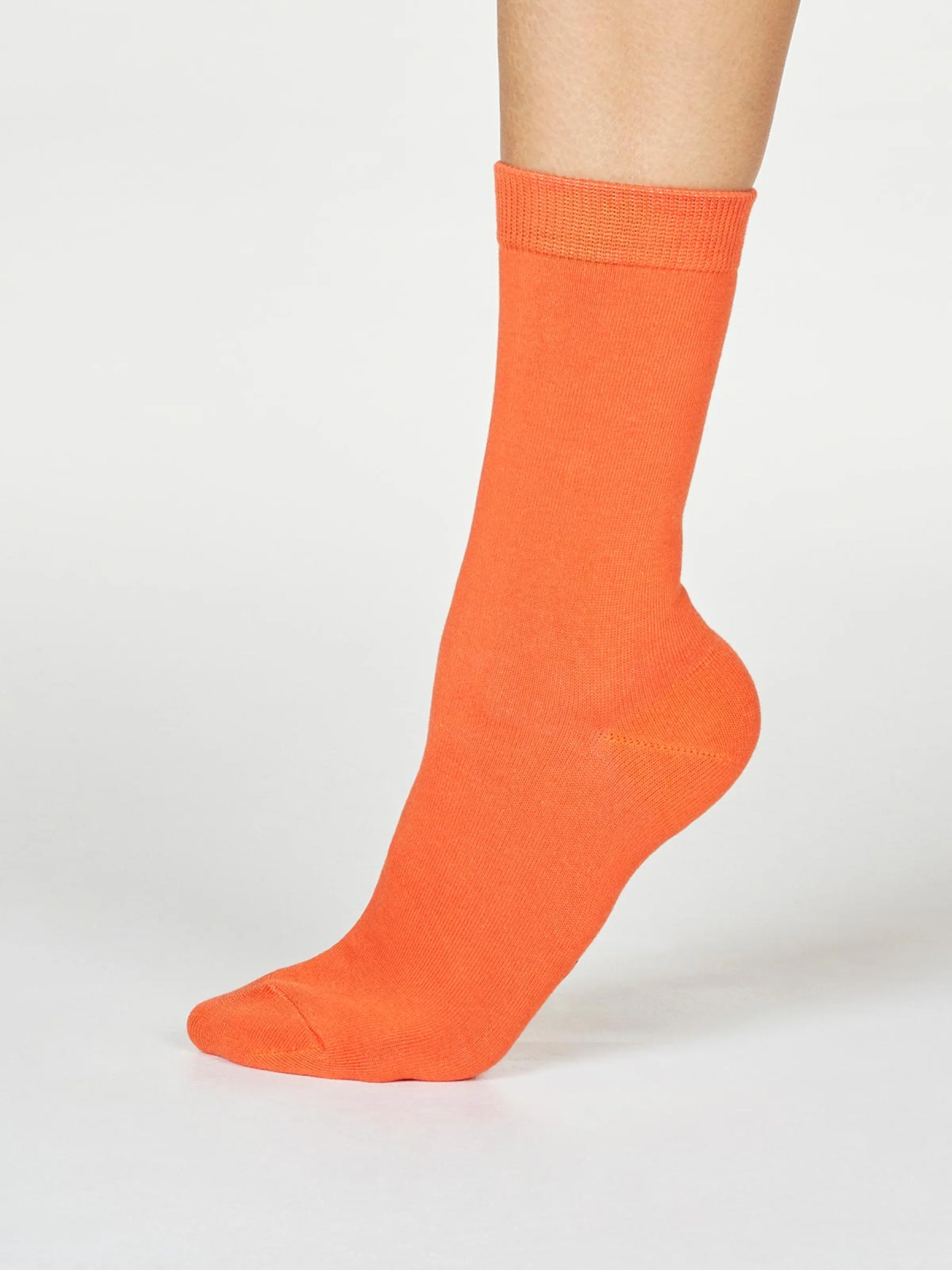 Rainbow Leftover Bamboo 7 Pack Sock Box - Flockneti