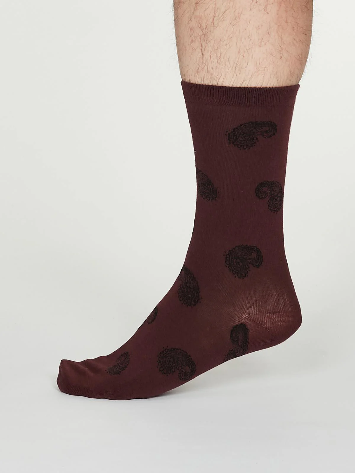 Homer Socks - Burgundy - Flockneti