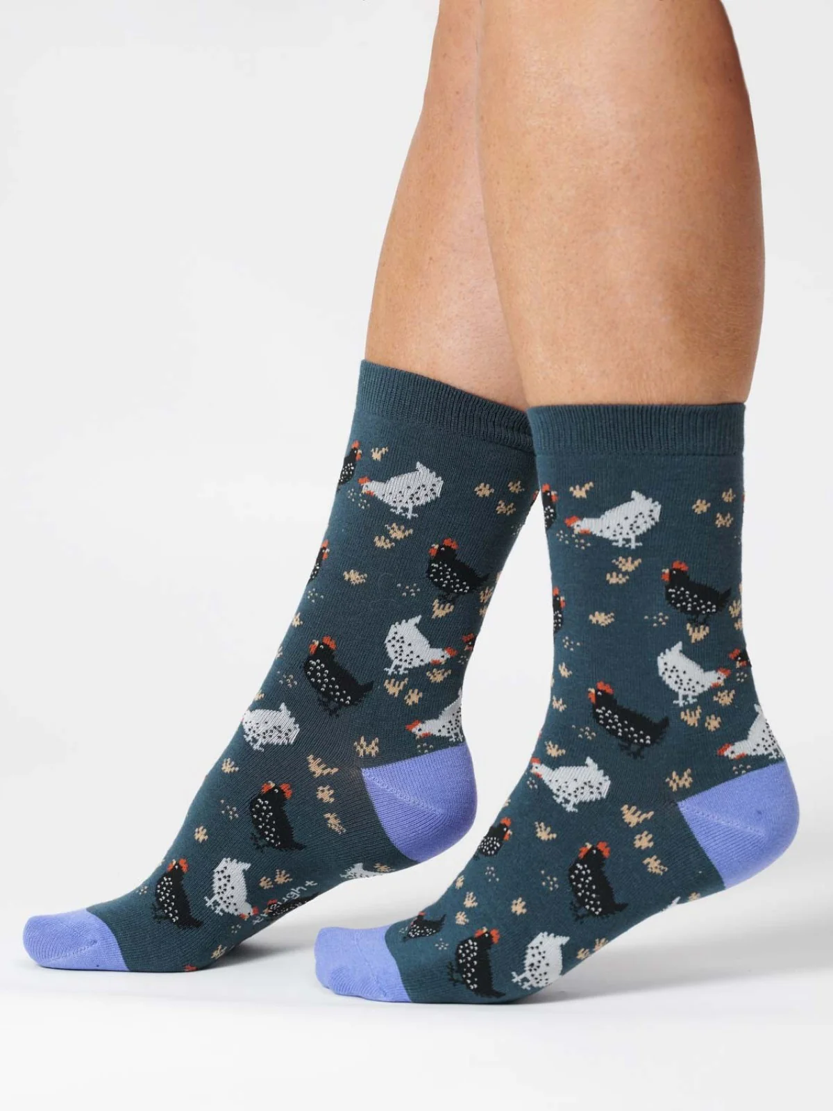 Womens Chicken Organic Cotton Socks - Blue Slate - Flockneti