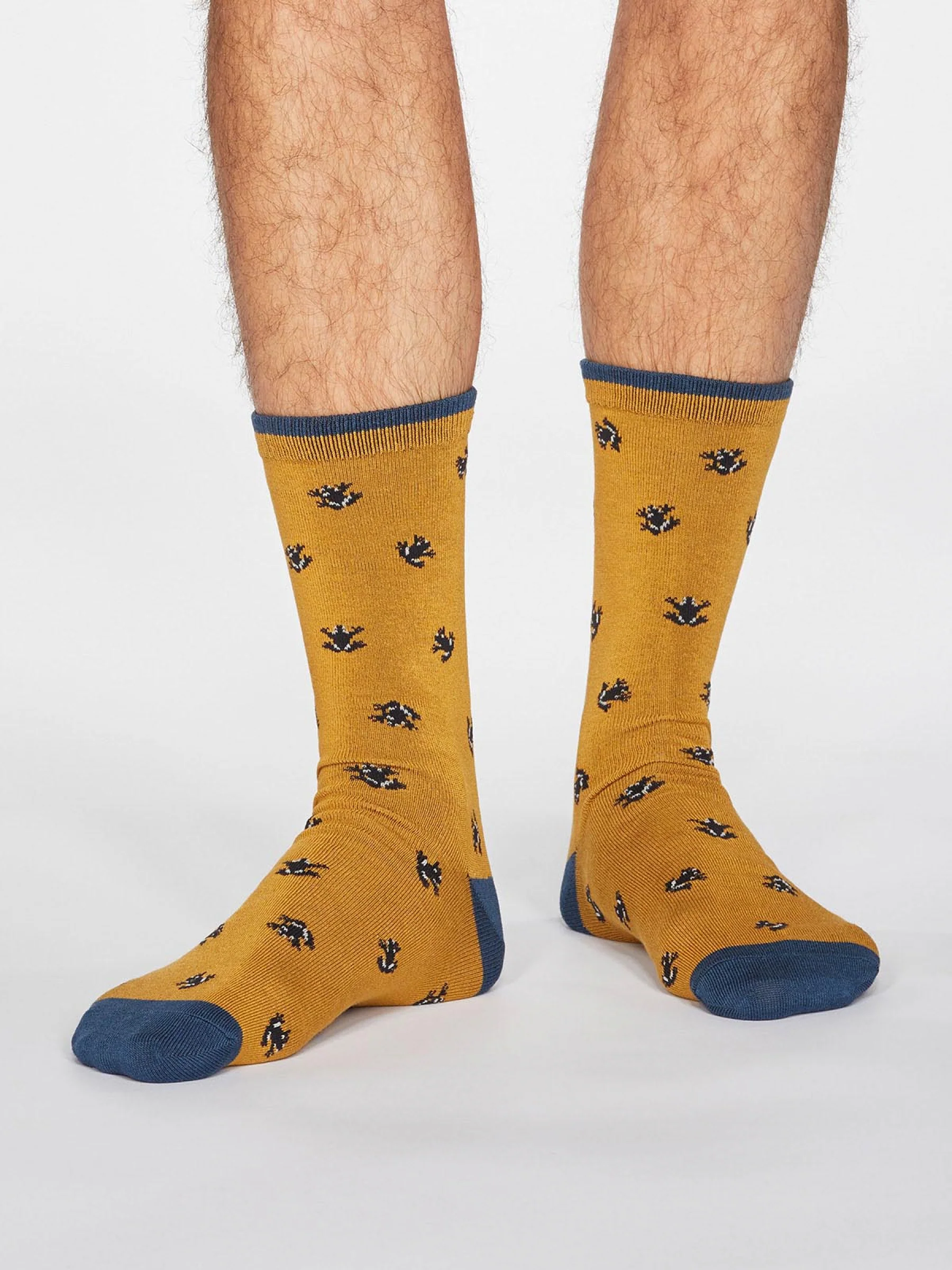 Wesley Frog Socks - Mustard Yellow - Flockneti