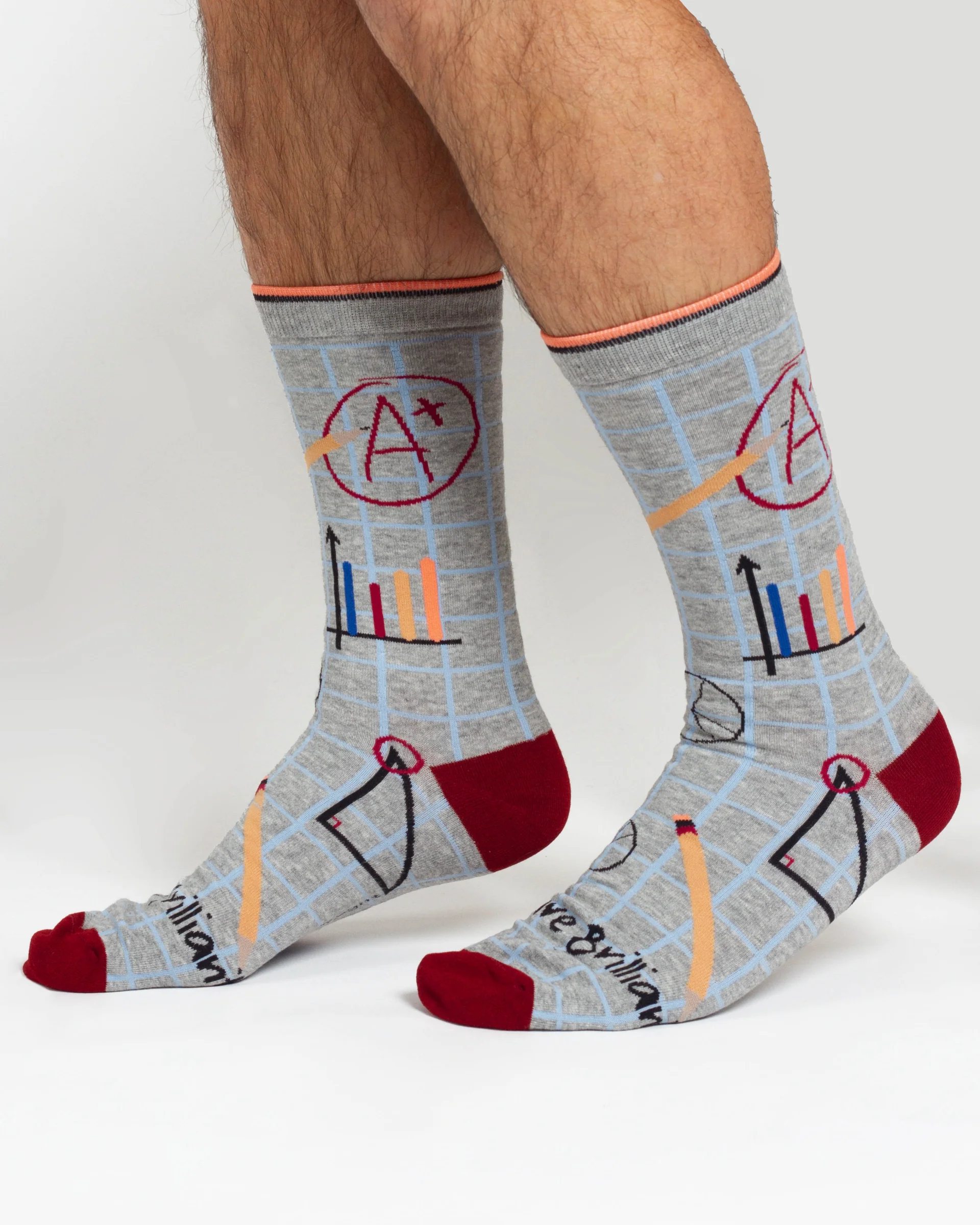 Mathematician Bamboo 2 Socks in a Bag - Grey/Navy - Flockneti