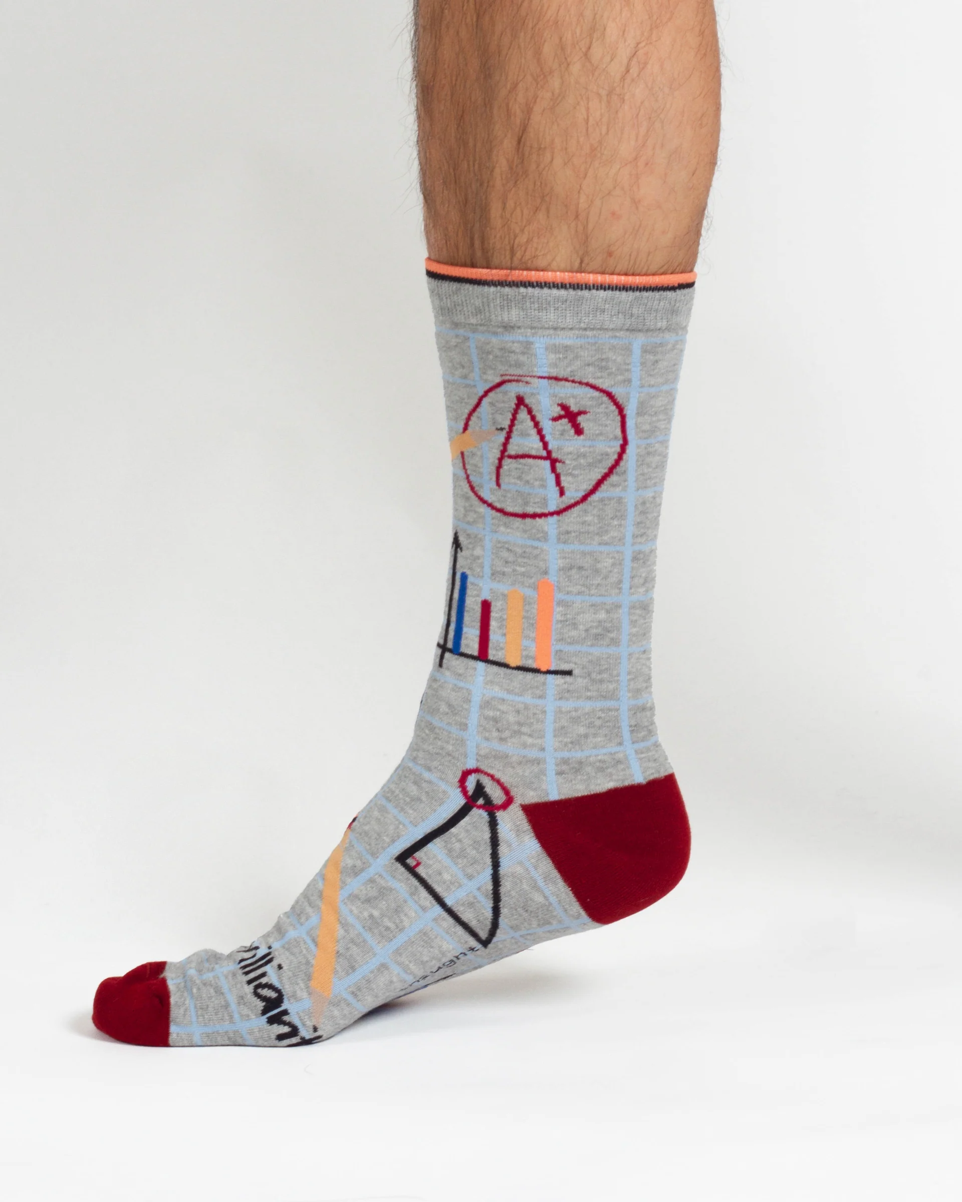 Mathematician Bamboo 2 Socks in a Bag - Grey/Navy - Flockneti