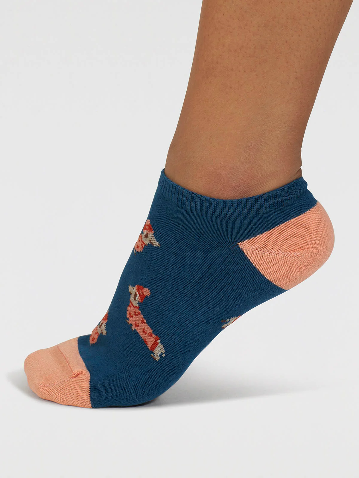 Freda Dachshund Organic Cotton Trainer Socks - Lake Blue - Flockneti